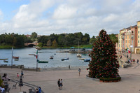 Image-0006