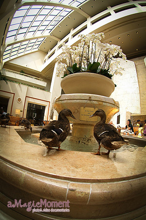 The Peabody Hotel