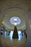 Image-0005