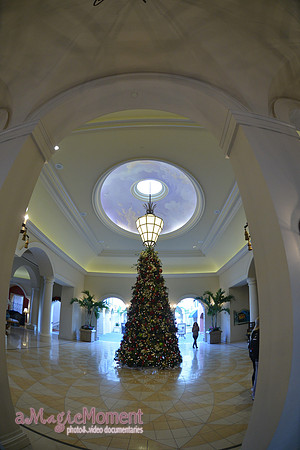 Image-0005