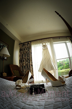 Image-0053