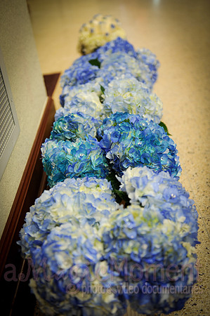 Image-0275