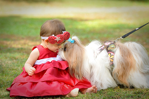 cute baby and dog.