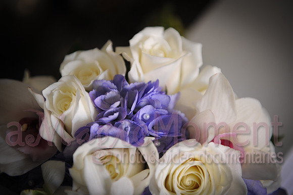Image-0017