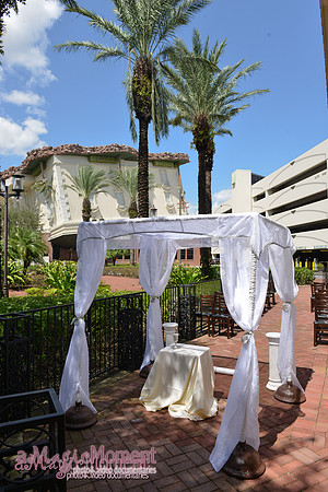 Image-0003