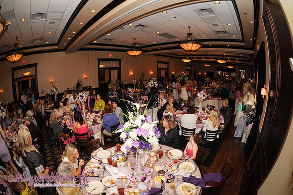 Image-0402