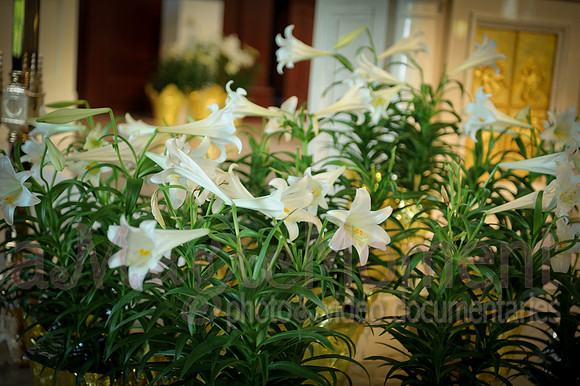Image-0169