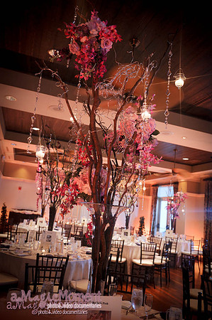 The Bohemian Celebration Hotel
