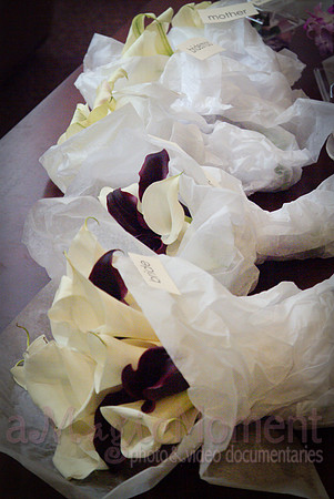Image-0165