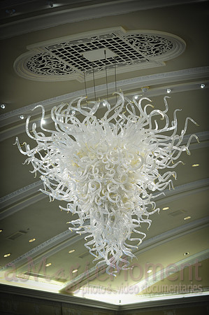 Image-0008