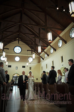 Image-0337
