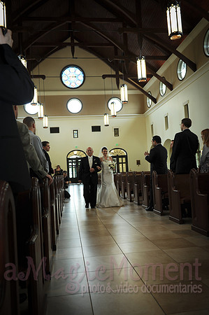 Image-0335