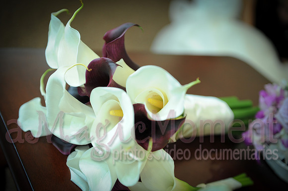 Image-0231