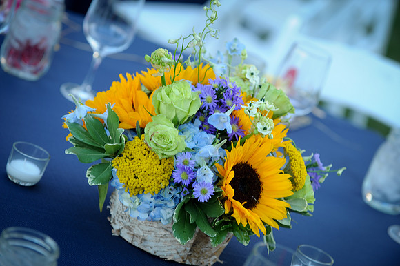 Image-0028