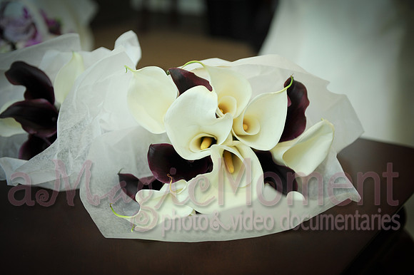 Image-0180