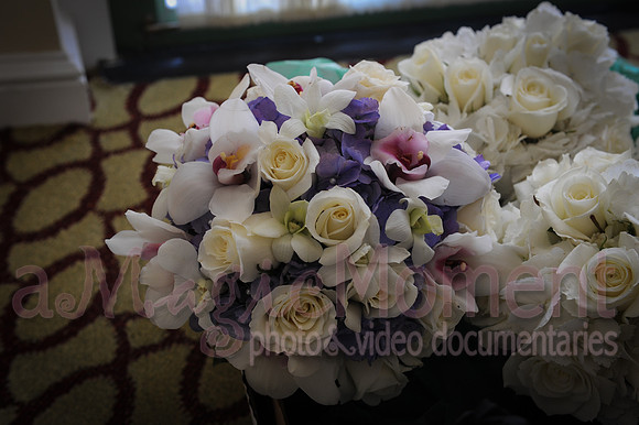 Image-0011