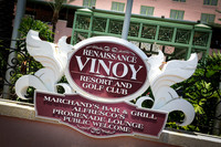 Image-0004