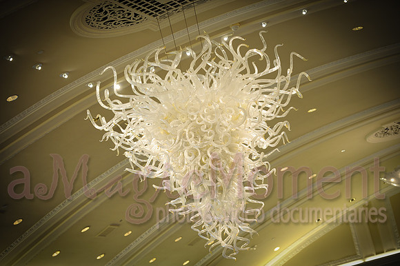 Image-0007