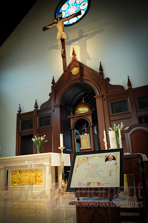 Image-0255