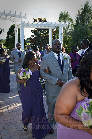 Image-0164