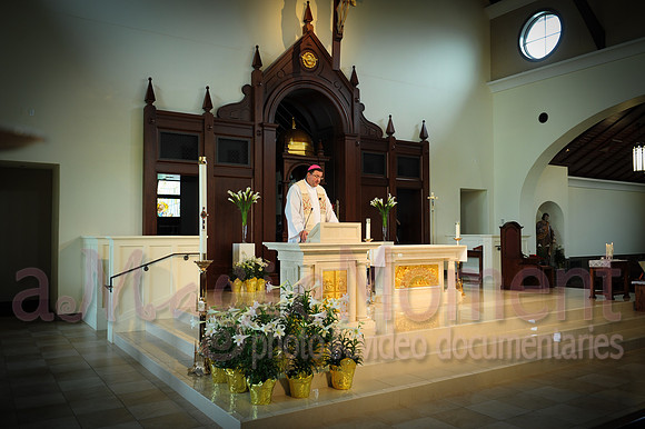 Image-0376
