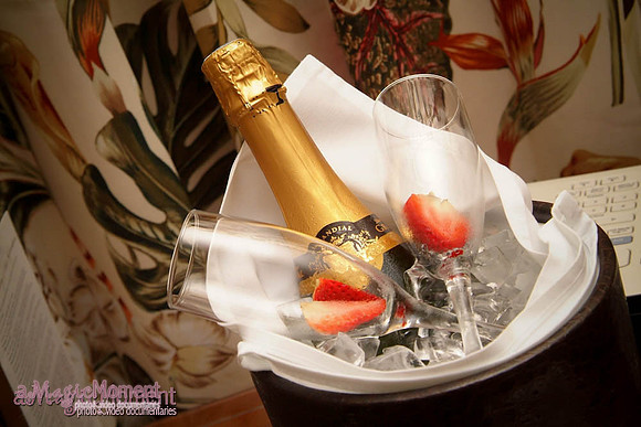 The Bohemian Celebration Hotel